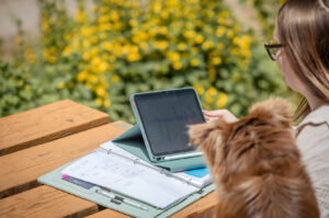 Die 7 häufigsten Fehler in der Hundeernährung – und wie du sie vermeidest