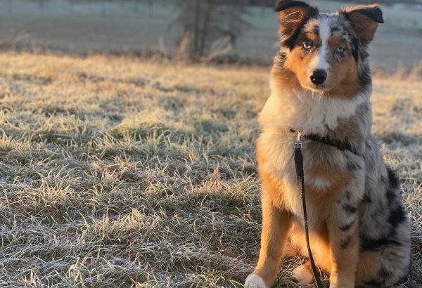 PHOTO-2026-01-25-09-25-13